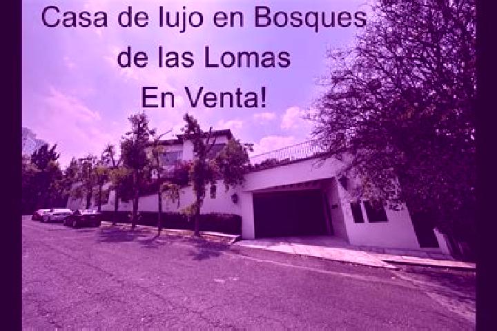 Victoria, 37 — Escort in Villas de las Lomas, Mexico