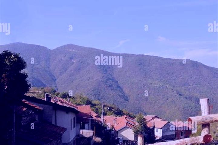 Victoria, 38 — Escort in Carrega Ligure, Italy