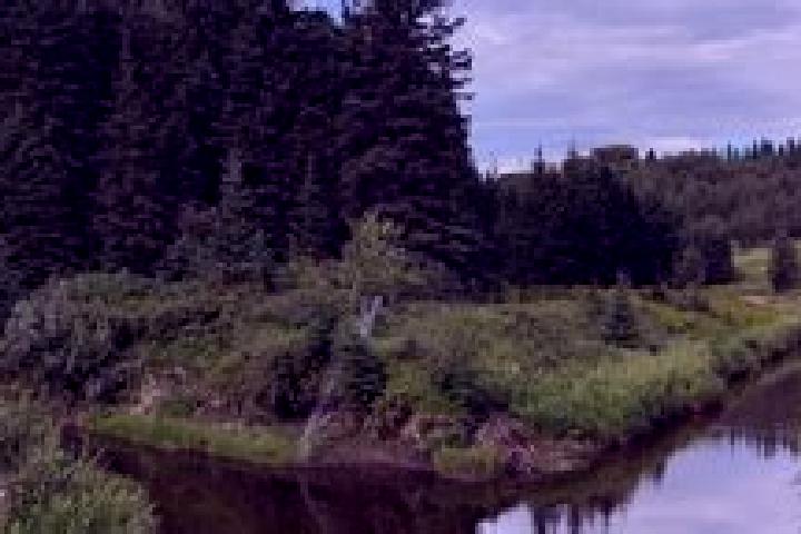 Victoria, 38 — Escort in Mactaggart, Canada