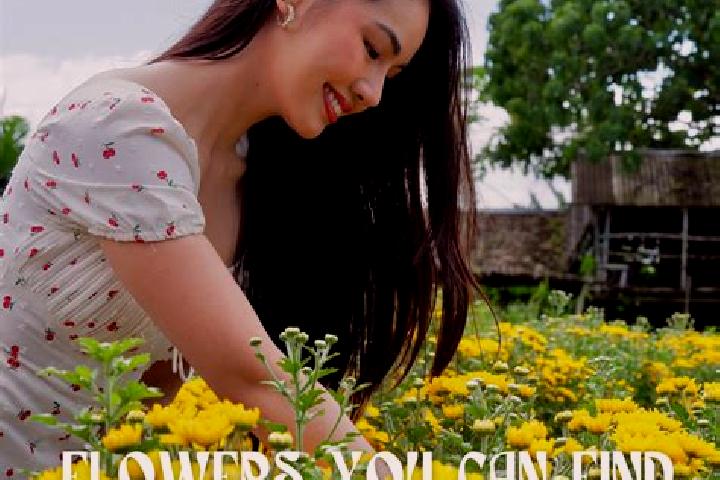 Victoria, 38 — Escort in Pacol, Philippines