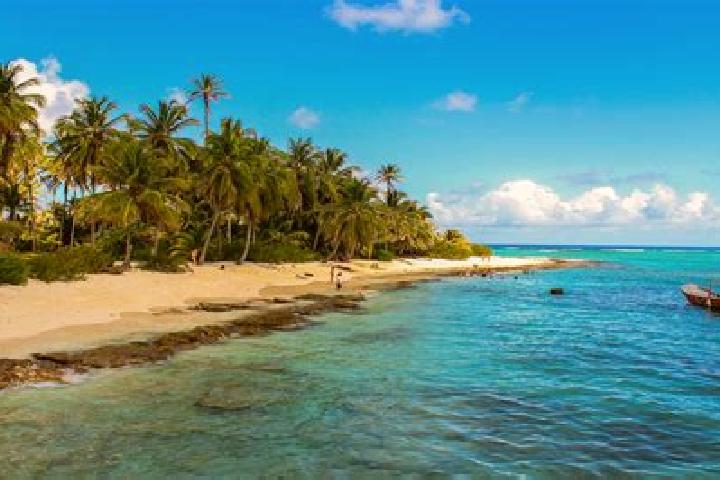 Victoria, 38 — Escort in San Andres Calera, Mexico