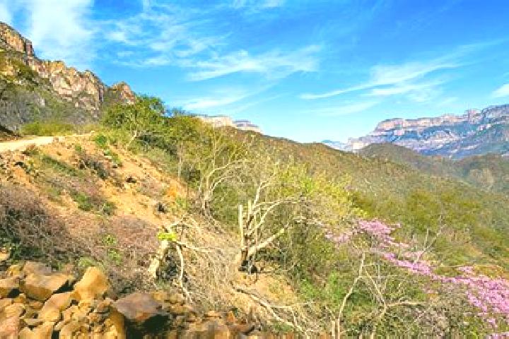 Victoria, 38 — Escort in Urique, Mexico