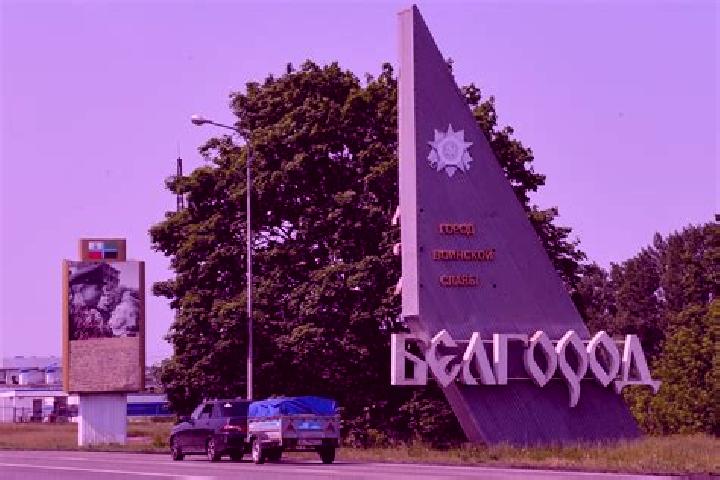 Victoria, 38 — Escort in Volokonovka, Russia