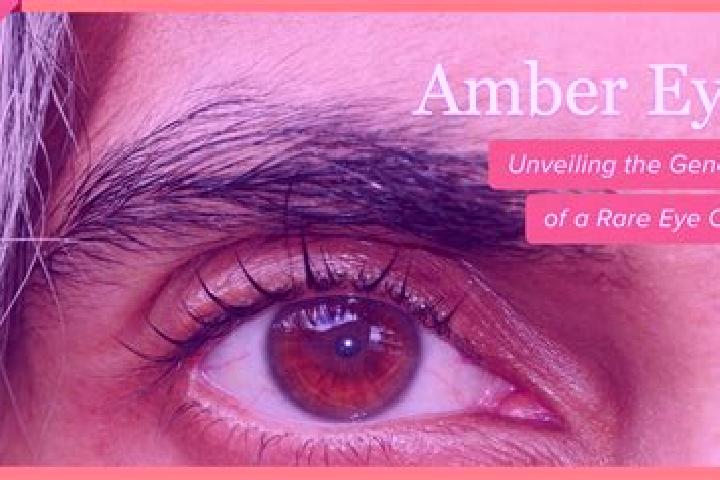 Violet, 20, a black amber-eyed ebony companion based in Gyobrag. Offering BDSM, Tantra, Domination. Available for incall and outcall, overnight bookings avai...