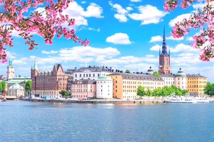 Violet, 20 — Escort in Holm, Sweden