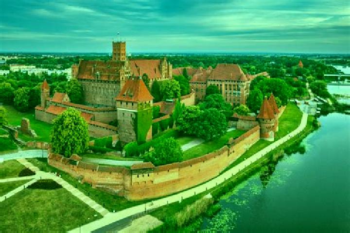 Violet, 20 — Escort in Malbork, Poland