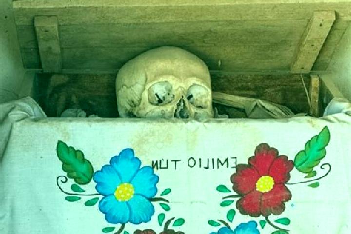 Violet, 20 — Escort in Pomuch, Mexico
