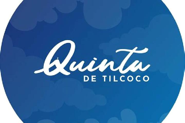 Violet, 20 — Escort in Quinta de Tilcoco, Chile