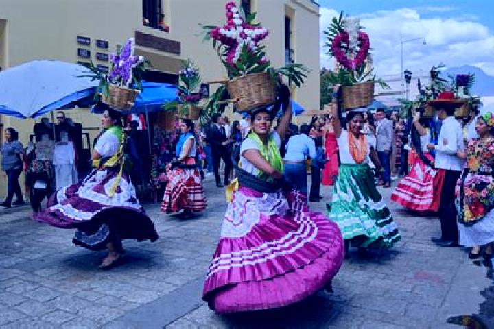 Violet, 20 — Escort in Santa Cruz Mextepec, Mexico