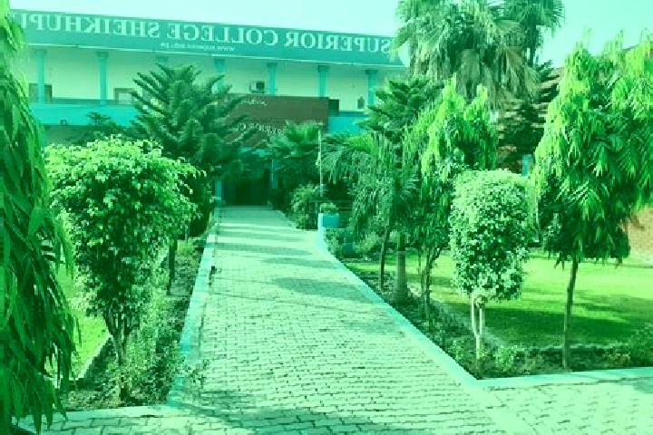 Violet, 20 — Escort in Shekhupura, Pakistan