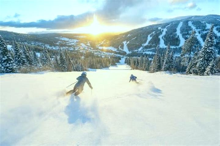 Violet, 20 — Escort in Sun Peaks, Canada