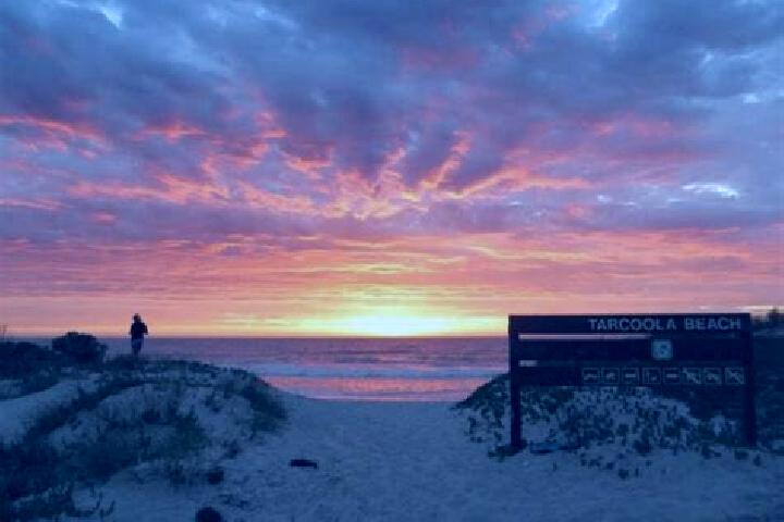 Violet, 20 — Escort in Tarcoola Beach, Australia