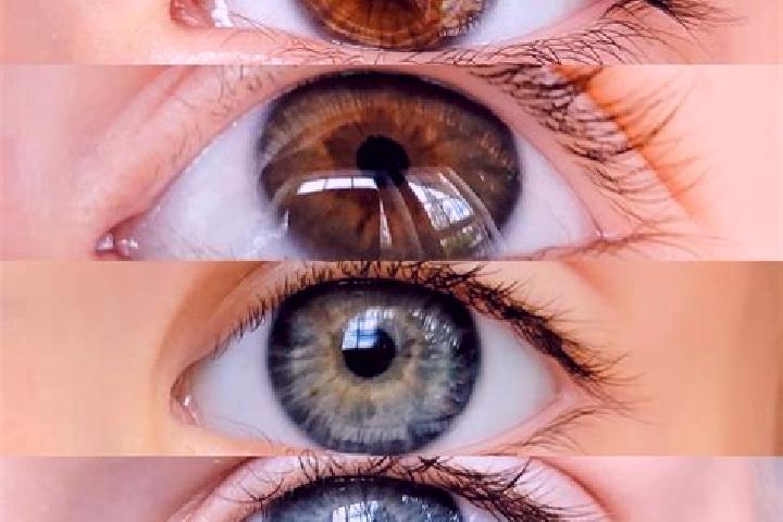 Violet, 21, a chestnut blue-eyed mixed companion based in Terzorio. Offering Duos, Tantra, BDSM. Available for incall and outcall, overnight bookings available.