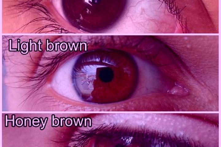 Violet, 21, a red hazel-eyed slavic companion based in San Pedro Huaquilpan. Offering BDSM, GFE, Erotic Massage, Striptease, Dinner Date. Available for incal...