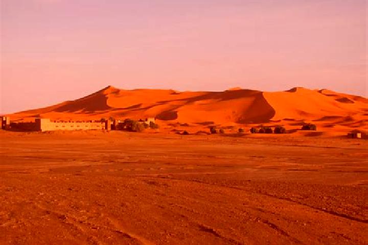 Violet, 21 — Escort in Aklim, Morocco