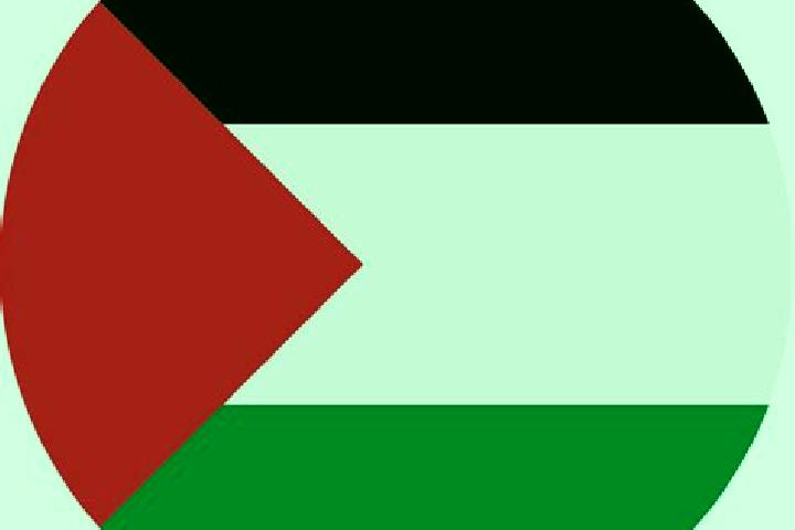 Violet, 21 — Escort in Birqin, Palestine