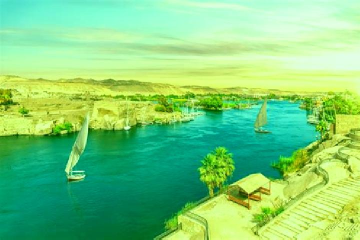 Violet, 21 — Escort in Fuwwah, Egypt