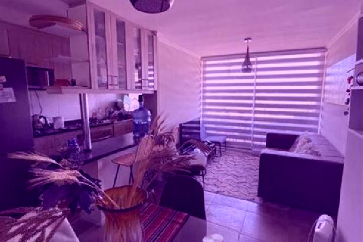 Violet, 21 — Escort in La Cruz, Chile
