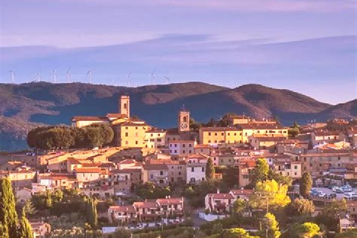 Violet, 21 — Escort in Montescudaio, Italy