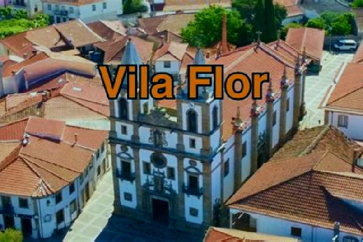 Violet, 21 — Escort in Vila Flor, Portugal