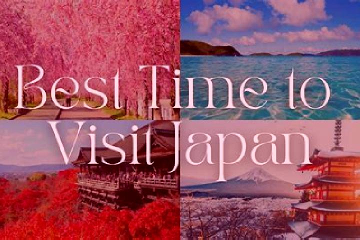 Violet, 21 — Escort in Yamatohama, Japan