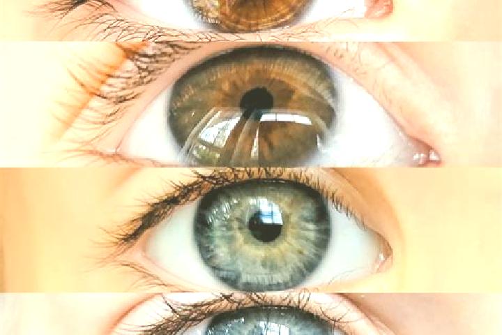 Violet, 22, a chestnut dark-eyed mixed companion based in Willisau. Offering 69, Massage, Couples, Tantra. Available for incall and outcall, day and evening ...