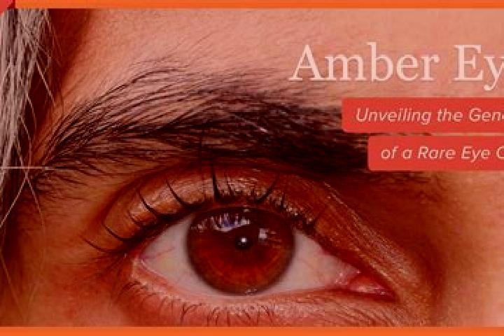Violet, 22, a red amber-eyed mixed companion based in Pizarral. Offering Erotic Massage, Prostate Massage, A-Level. Available for incall and outcall, day and...