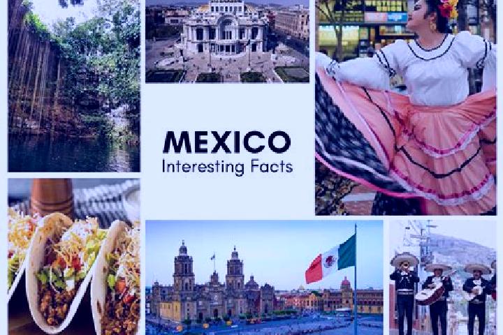 Violet, 22 — Escort in Acuamanala, Mexico
