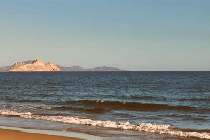 Violet, 22 — Escort in Bahia de Kino, Mexico
