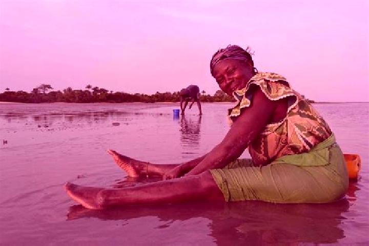 Violet, 22 — Escort in Diganteh, Gambia