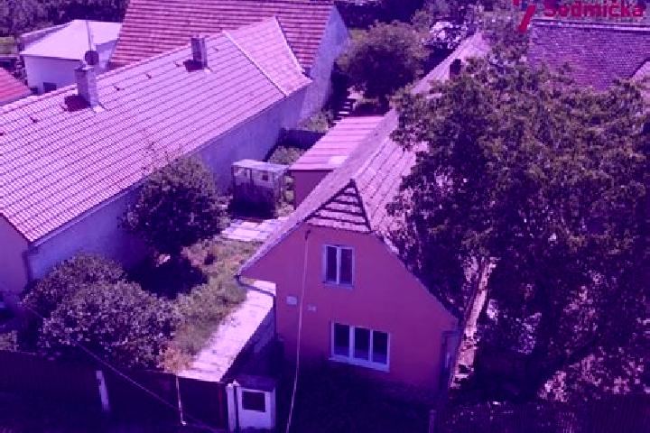 Violet, 22 — Escort in Jakubov u Moravskych Budejovic, Czech Republic