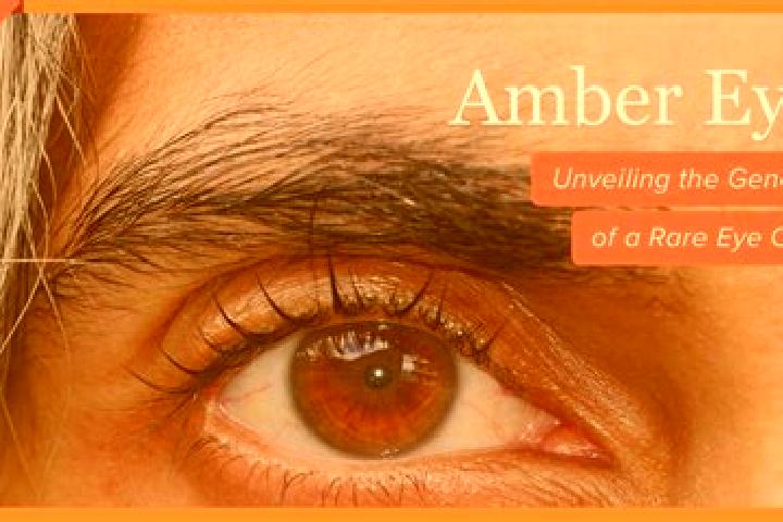 Violet, 23, a red amber-eyed european companion based in Binab. Offering Roleplay, CIM, Duos. Available for incall and outcall, overnight bookings available.