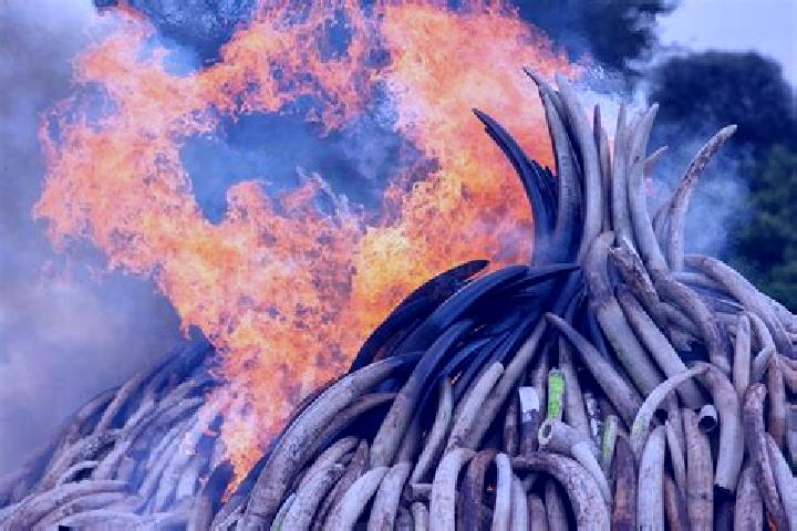 Violet, 23 — Escort in Burnt Forest, Kenya