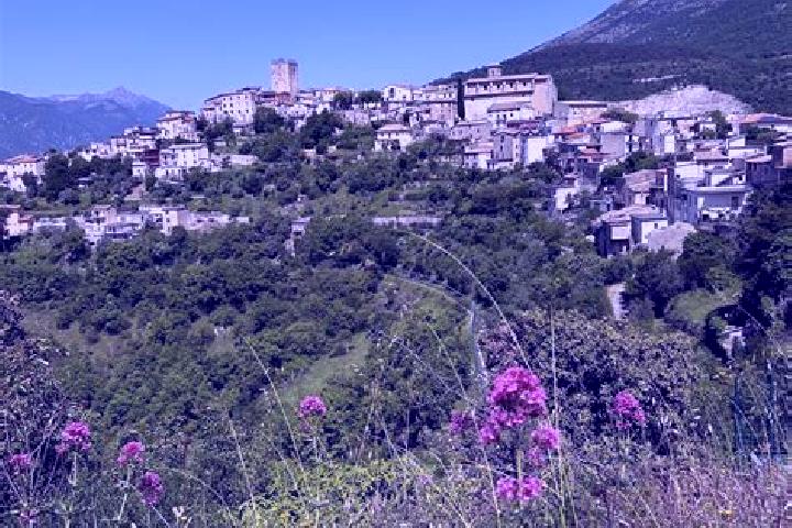 Violet, 23 — Escort in Campoli Appennino, Italy