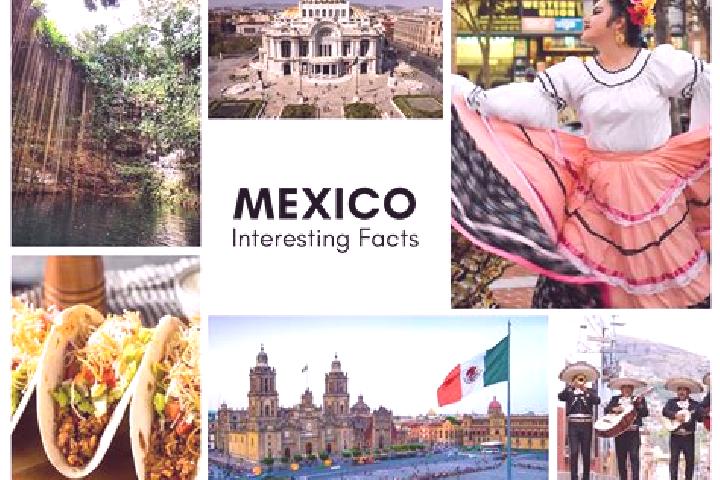 Violet, 23 — Escort in Chiotic, Mexico