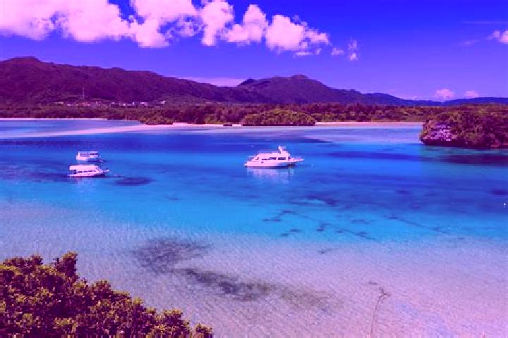 Violet, 23 — Escort in Ishigaki, Japan