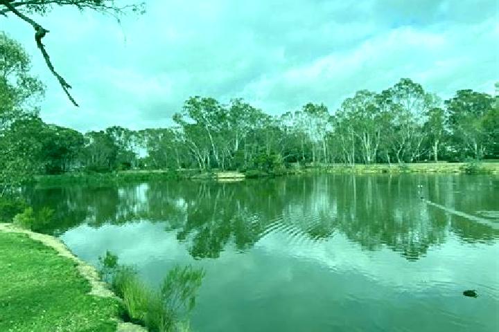 Violet, 23 — Escort in Kangaroo Flat, Australia