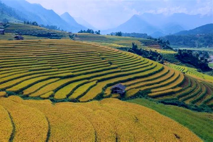 Violet, 23 — Escort in Sa Pa, Vietnam