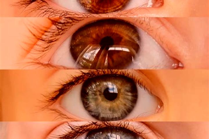Violet, 24, a chestnut hazel-eyed indian companion based in Akcaova. Offering A-Level, Fetish, Travel Companion. Available for incall and outcall, day and ev...