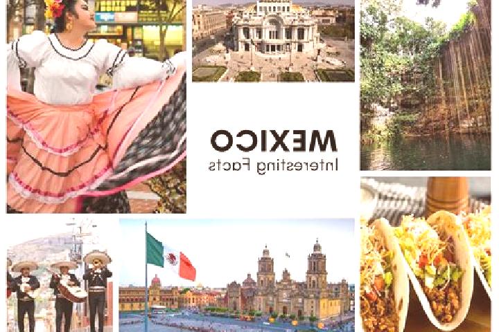 Violet, 24 — Escort in Chilijapa, Mexico