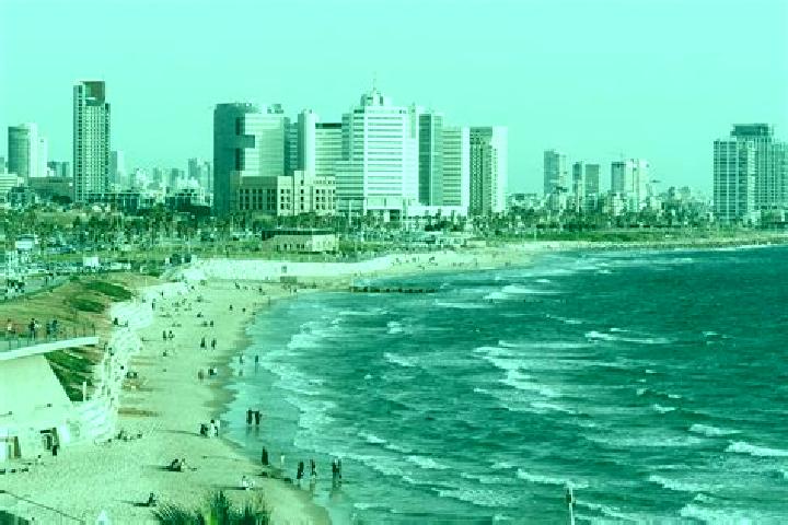 Violet, 24 — Escort in Jaljulya, Israel