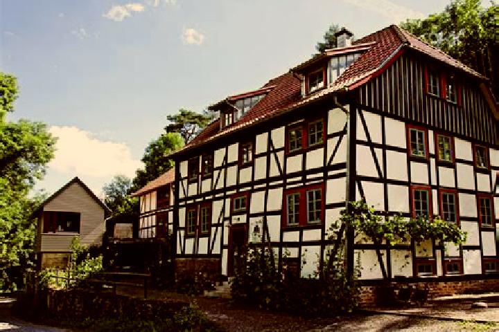 Violet, 24 — Escort in Kirchheilingen, Germany