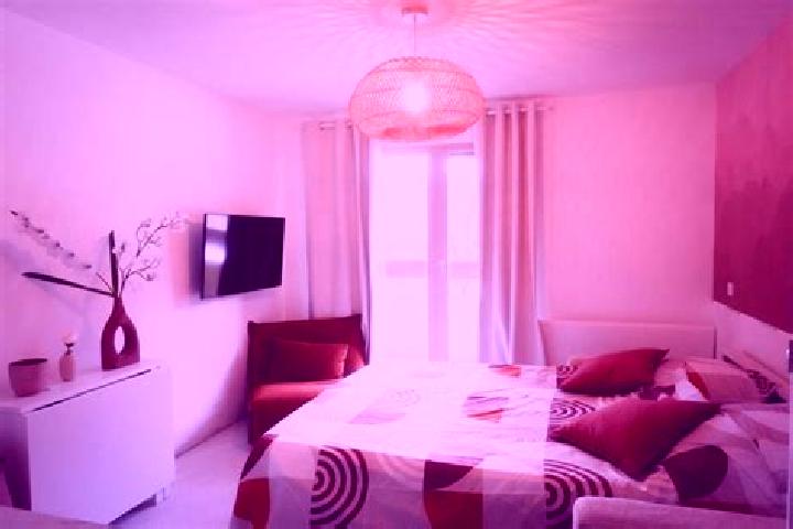 Violet, 24 — Escort in Le Bernard, France