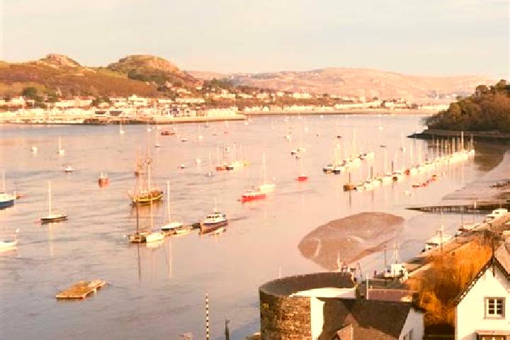 Violet, 24 — Escort in Llansantffraid Glan Conwy, United Kingdom