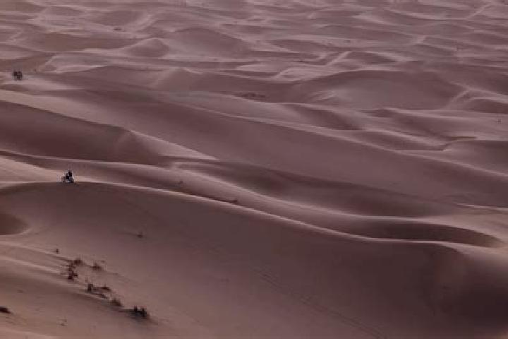 Violet, 24 — Escort in Meharrize, Western Sahara