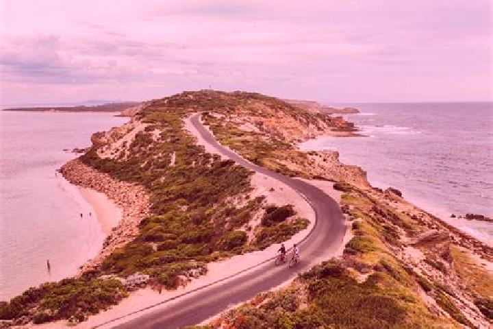 Violet, 24 — Escort in Phillip Bay, Australia