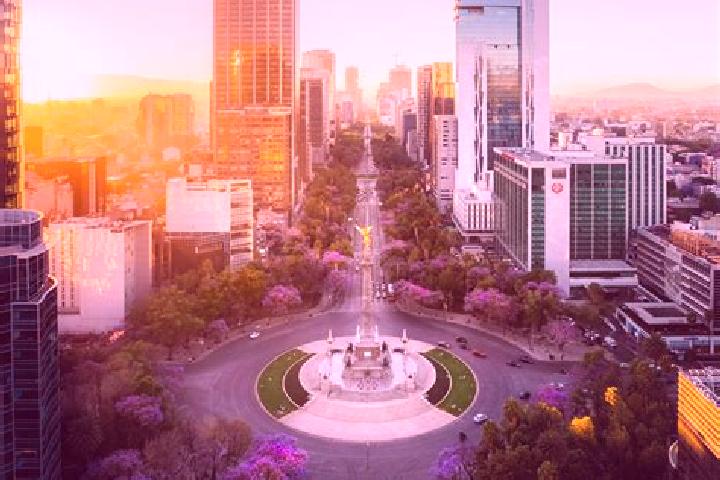 Violet, 24 — Escort in Plan Libertador, Mexico