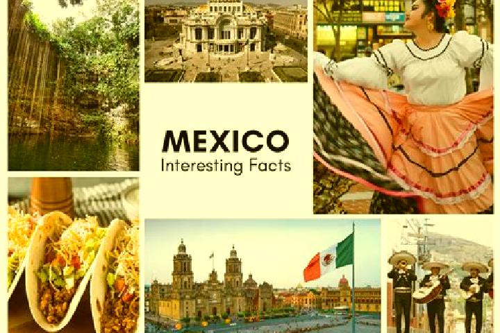 Violet, 24 — Escort in Poxcautla, Mexico