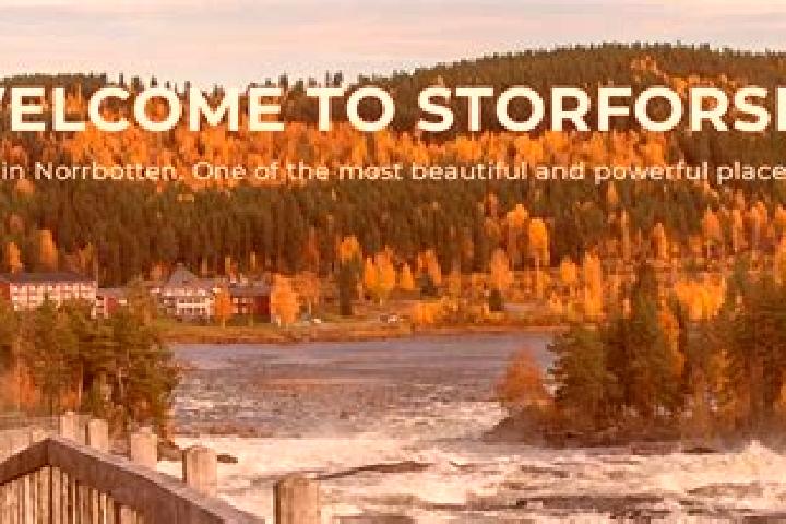 Violet, 24 — Escort in Storfors, Sweden