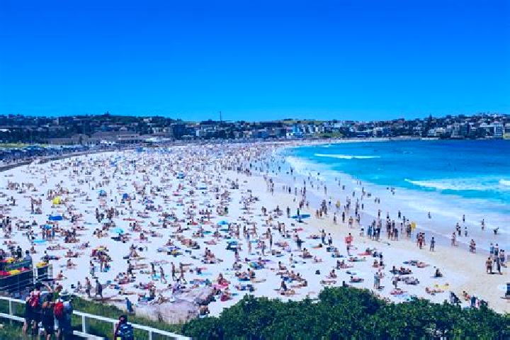 Violet, 25, a brunette green-eyed caucasian companion based in Bondi Beach. Offering OWO, Duos, Girlfriend Experience. Available for incall and outcall, over...